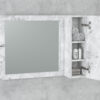 Med Mirror With Side Storage